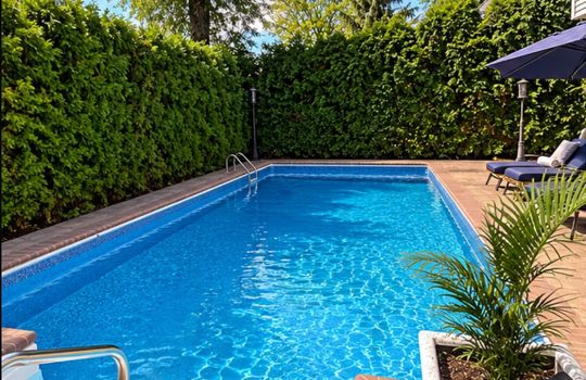 Private in-ground swimming pool surrounded by lush evergreen landscaping, brick paver patio, and mature trees in a Staten Island backyard.