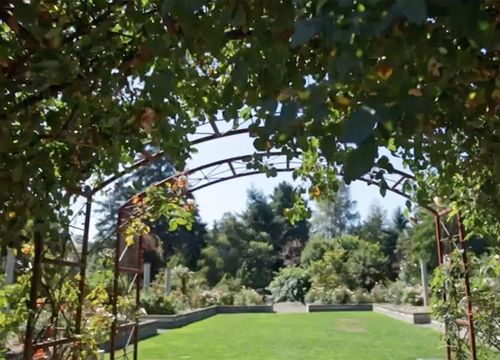 Screen-Shot-2020-11-04-at-4.35.18-PM