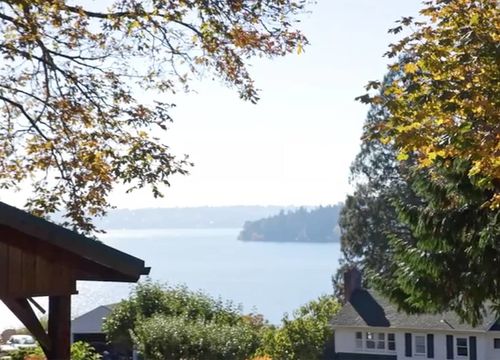 Screen-Shot-2020-11-11-at-2.33.33-PM