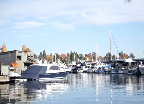 Screen-Shot-2020-11-11-at-2.41.58-PM