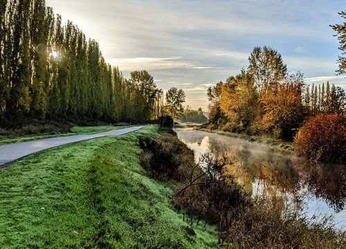 woodinville_467994279