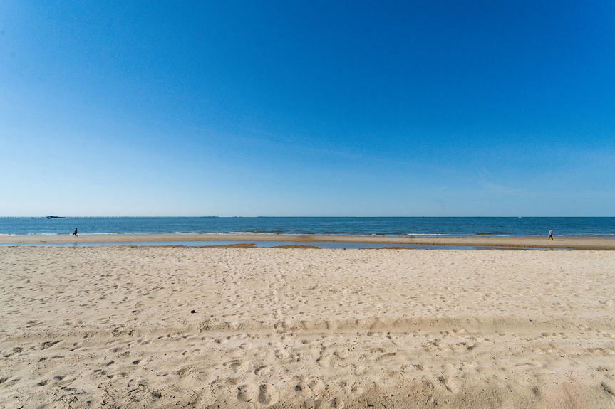 46-web-or-mls-2319-beach-castle-ln