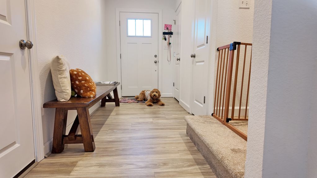 DJI_20251105112308_0523_D