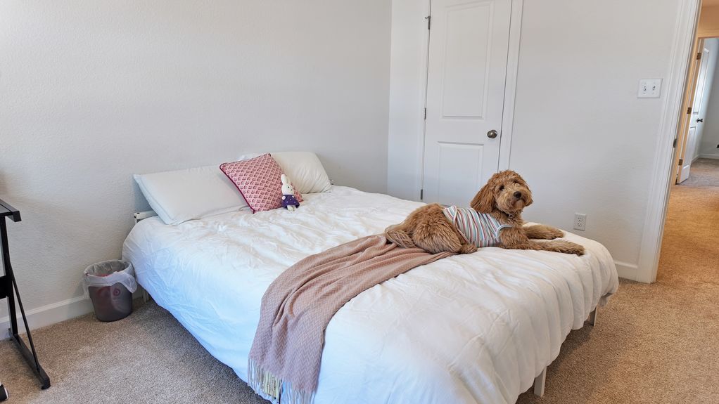 DJI_20251105114558_0568_D