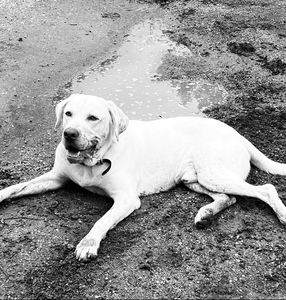 11A715BD-6EED-4E9B-B28B-8F80F841C409