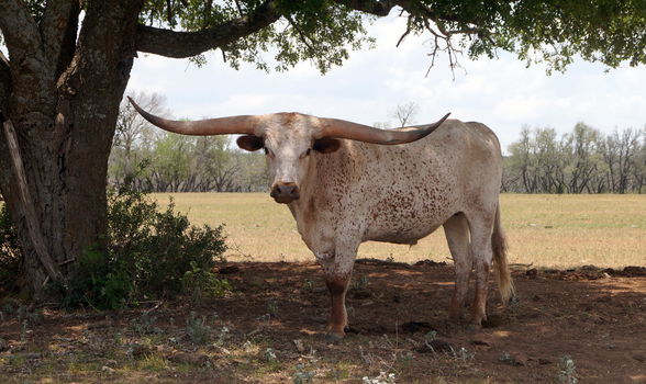 853316C3-1238-4718-8055-4B337596FFDD