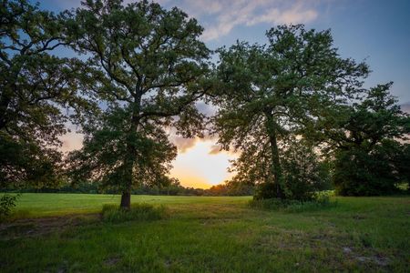 97BF102D-0AA2-461A-9947-92C518989CA1