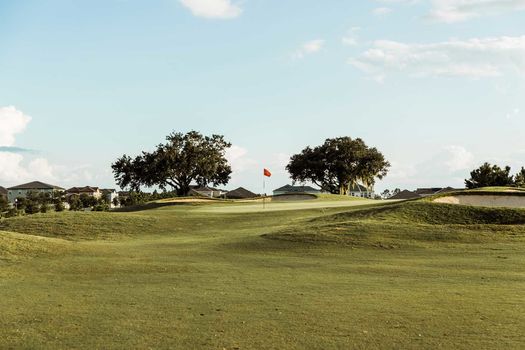 Homes on Golf Course