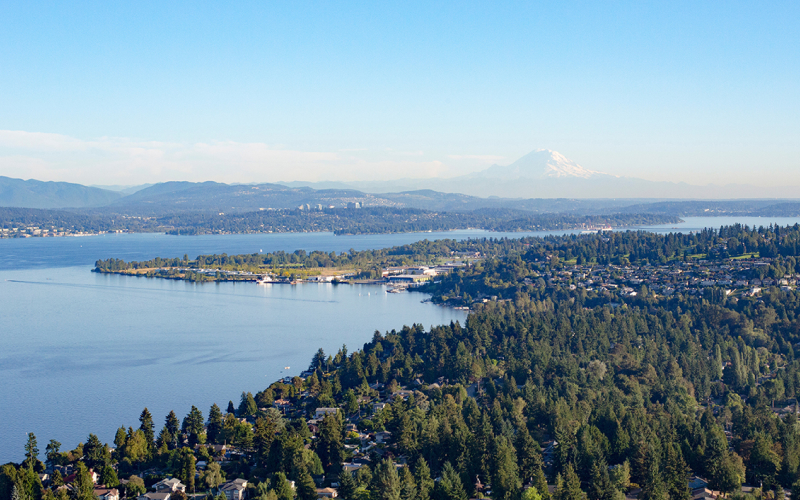 Kenmore Kate's Real Estate