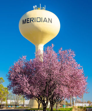 Meridian