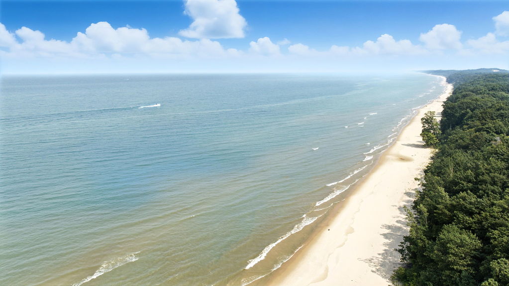 42-web-or-mls-001 (9) (2)