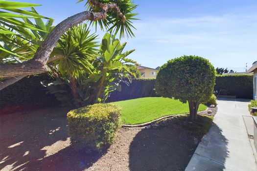 5278 Vista Del Mar Cypress CA &#8211; 044 &#8211; Backyard 5