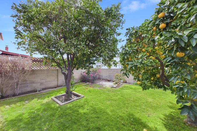 9319 Esther St Cypress CA 90630 034 Backyard 3
