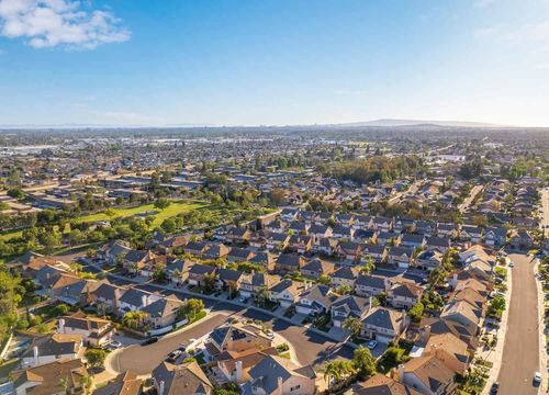 The Whitney Team - Cypress Image