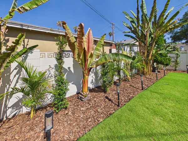 5501 Orange Ave Cypress CA - 040 - Backyard 6