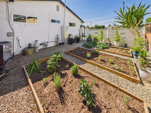 5501 Orange Ave Cypress CA - 045 - Garden 3