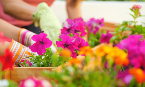 4 Things To Expect from the Spring …