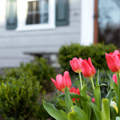 Spring Sellers Have an Edge