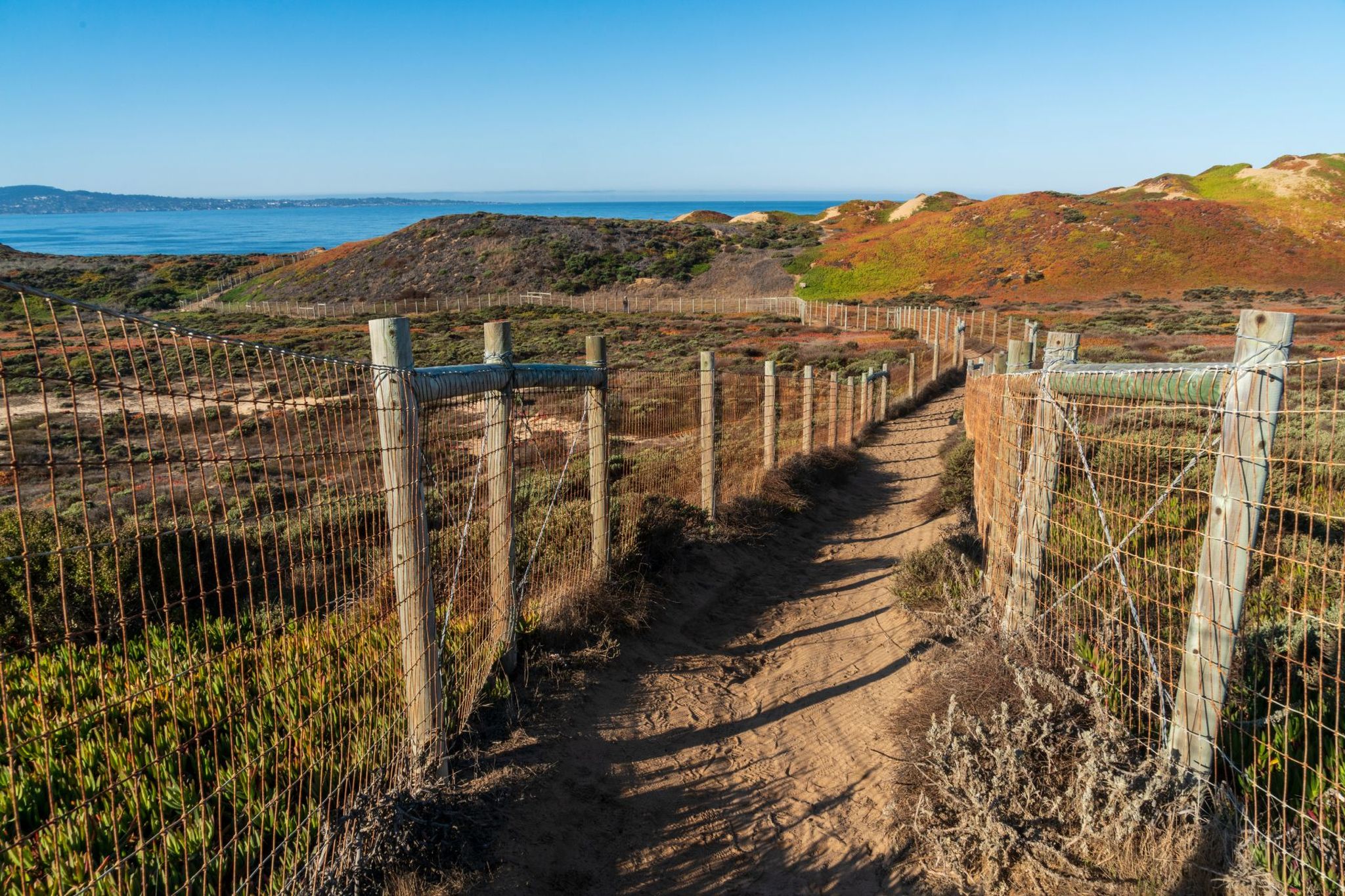 A sandy trail between fenced coastal dunes with Monterey Bay beyond