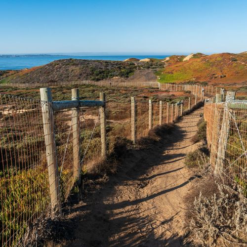 Monterey Walking Trails: Discover the Best Routes with Balog Properties