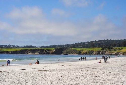 March 2026 Newsletter