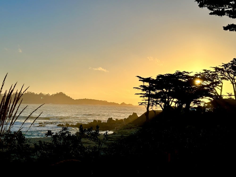 Golden-hour light and cypress silhouettes along the Scenic Bluff Pathway in Carmel-by-the-Sea