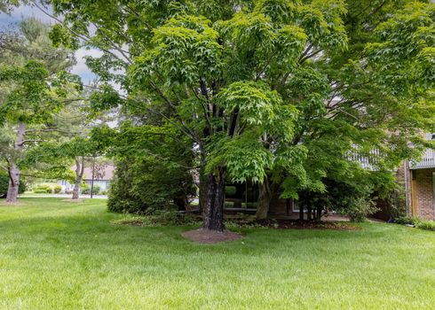 10-JmRealEstatePhotos.com_24700 Deepwater Point Dr_9