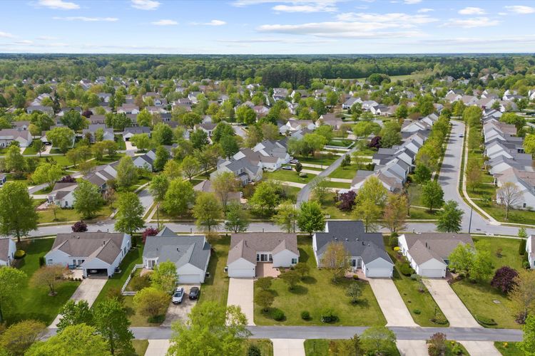 Local Insight, Deep Roots