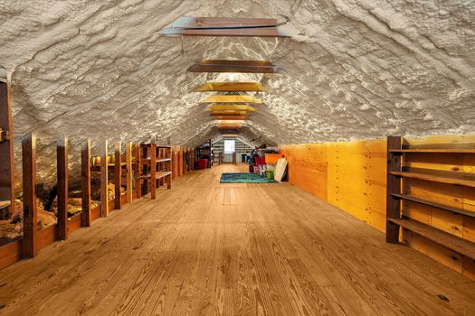 55-55 Attic_709 Elwood Ave-40