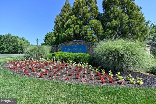 15b4bc8a26e9e4283c7c34ce371bd47d-uncropped_scaled_within_1536_1152