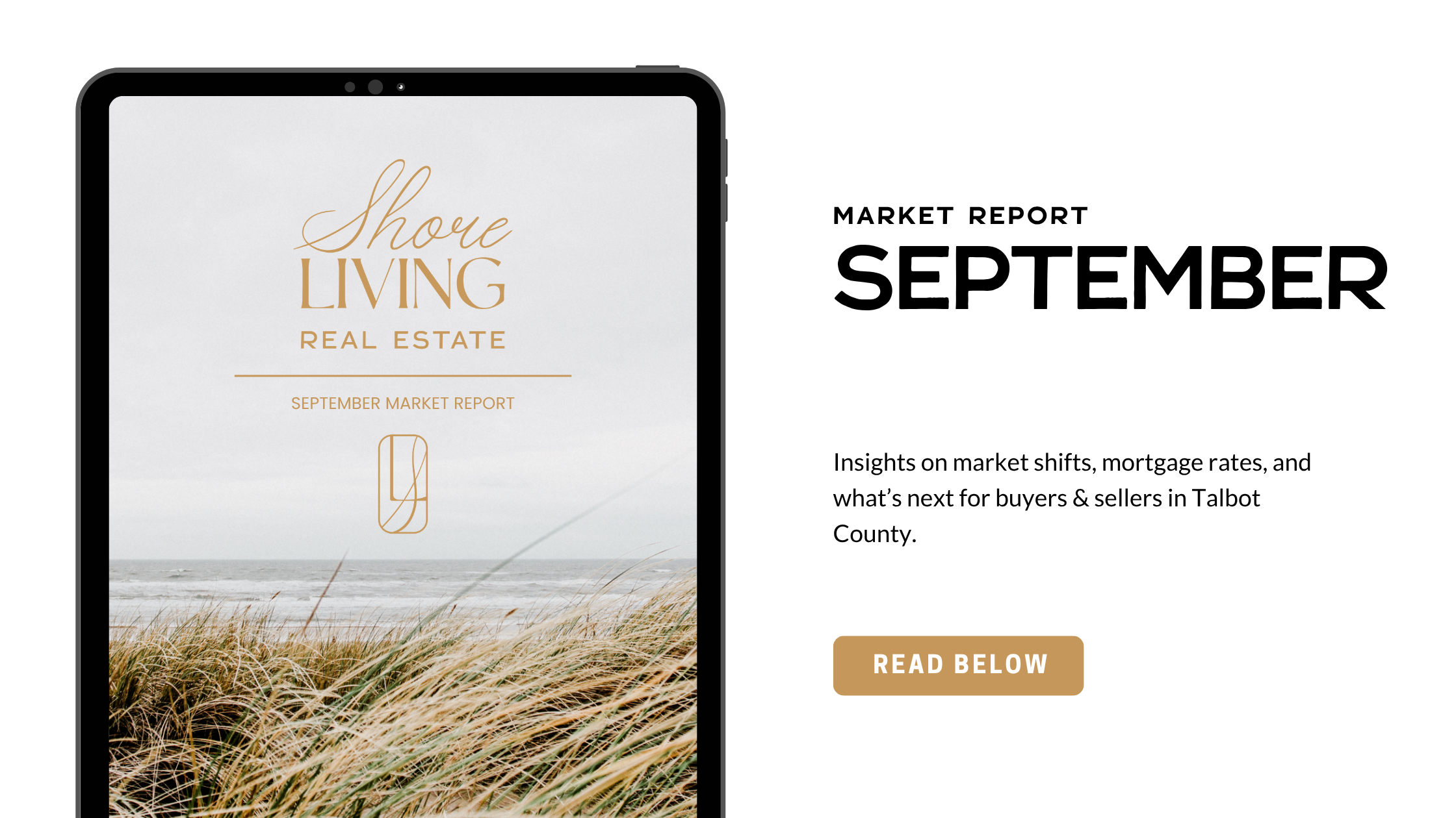 SLRE Market Report Blog Banner