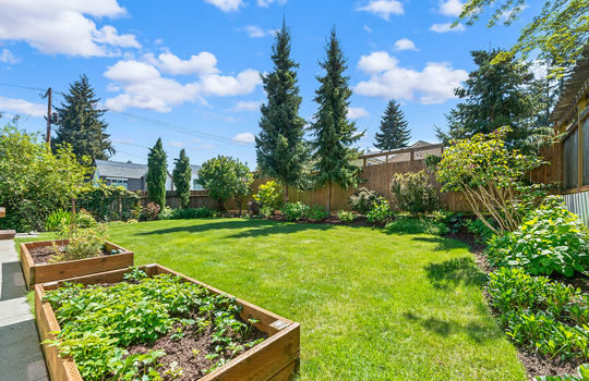 back yard 3