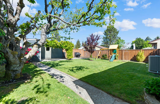 back yard 1