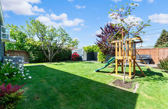 back yard 2