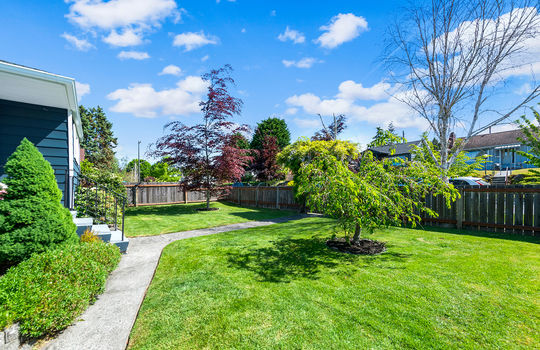 front yard 3