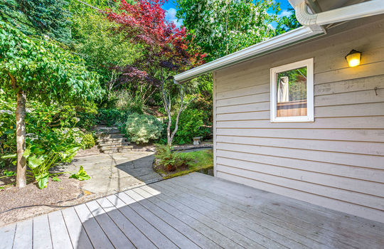 back yard 1