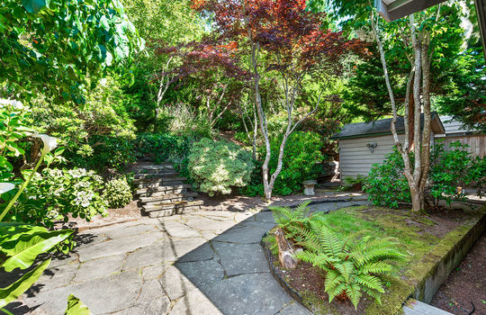 back yard 2