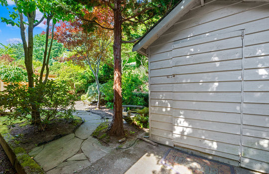 back yard 3