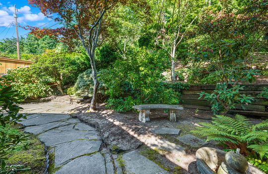 back yard 4