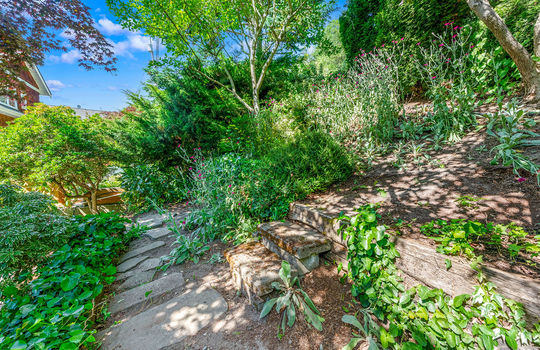 back yard 5