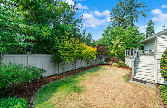 back yard 1