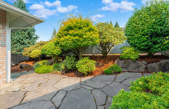 patio 3