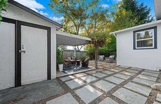 back yard 1
