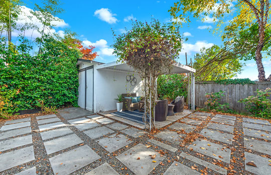 back yard 3