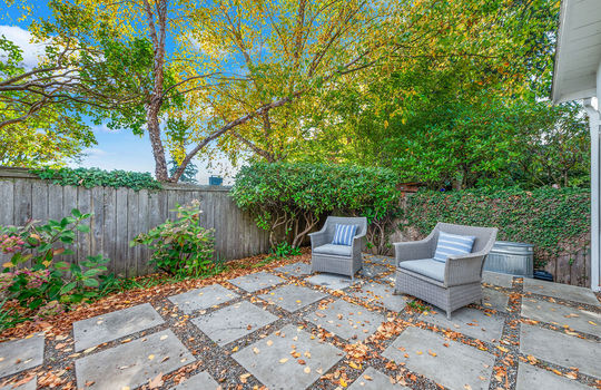 back yard 6