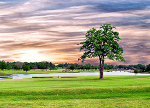 Emerald Bay Homes for Sale Flint TX