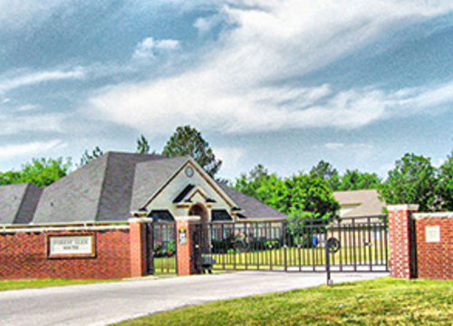 Forest Glen South Flint TX