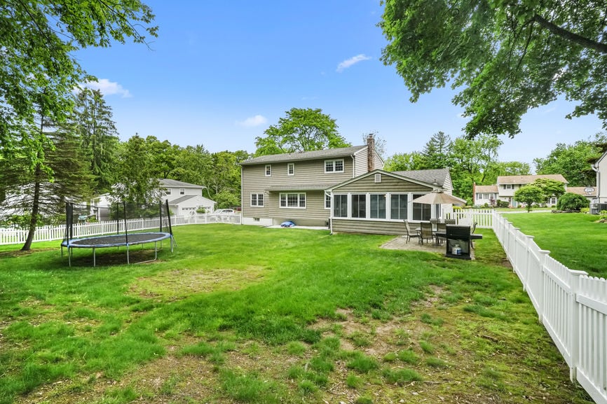 backyard 1