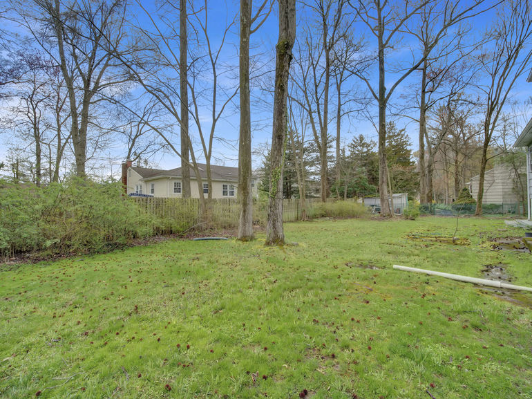 backyard 1 low resolution