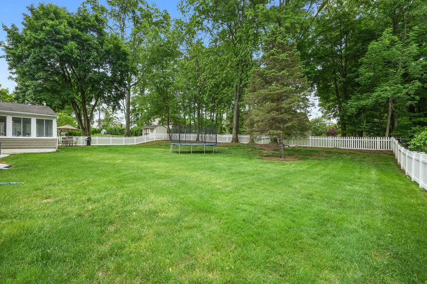backyard 2